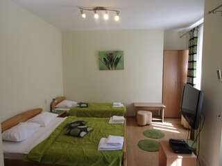 Гостевой дом Central Studios Подгорица Трехместный номер-студио с балконом-2