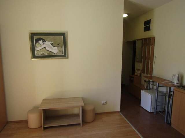 Гостевой дом Central Studios Подгорица-16